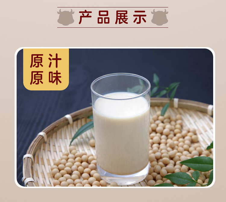 亿品鲜 红枣豆奶 248ml×40